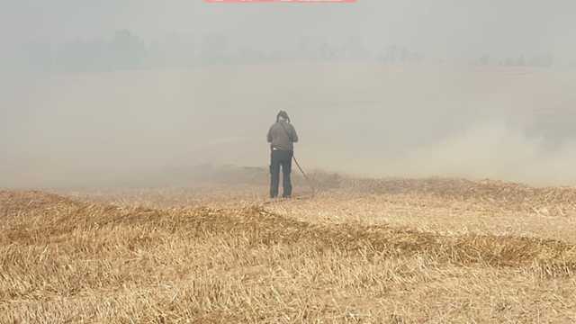 שריפה בשדה חיטה בדרום הארץ (צילום: בטחון שדה)