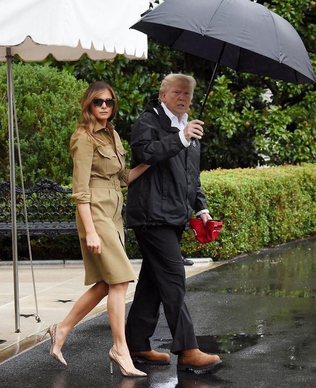 דונלד, הפן שלי!" (צילום: Gettyimages) דונלד, הפן שלי!" (צילום: Gettyimages)