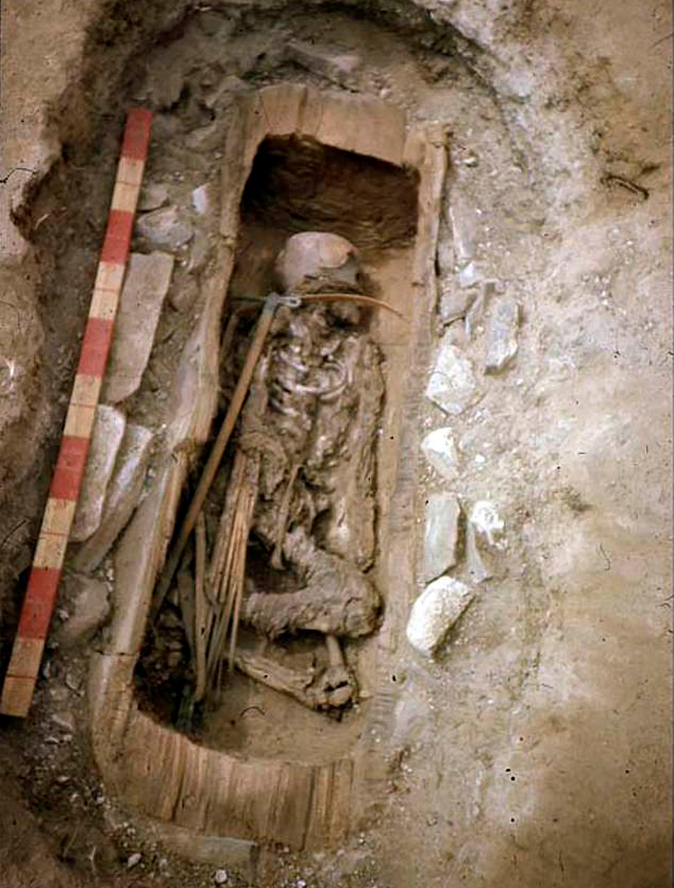 אמזונה לוחמת בת 13 סיביר נקברה עם נשק סיקיתים ()