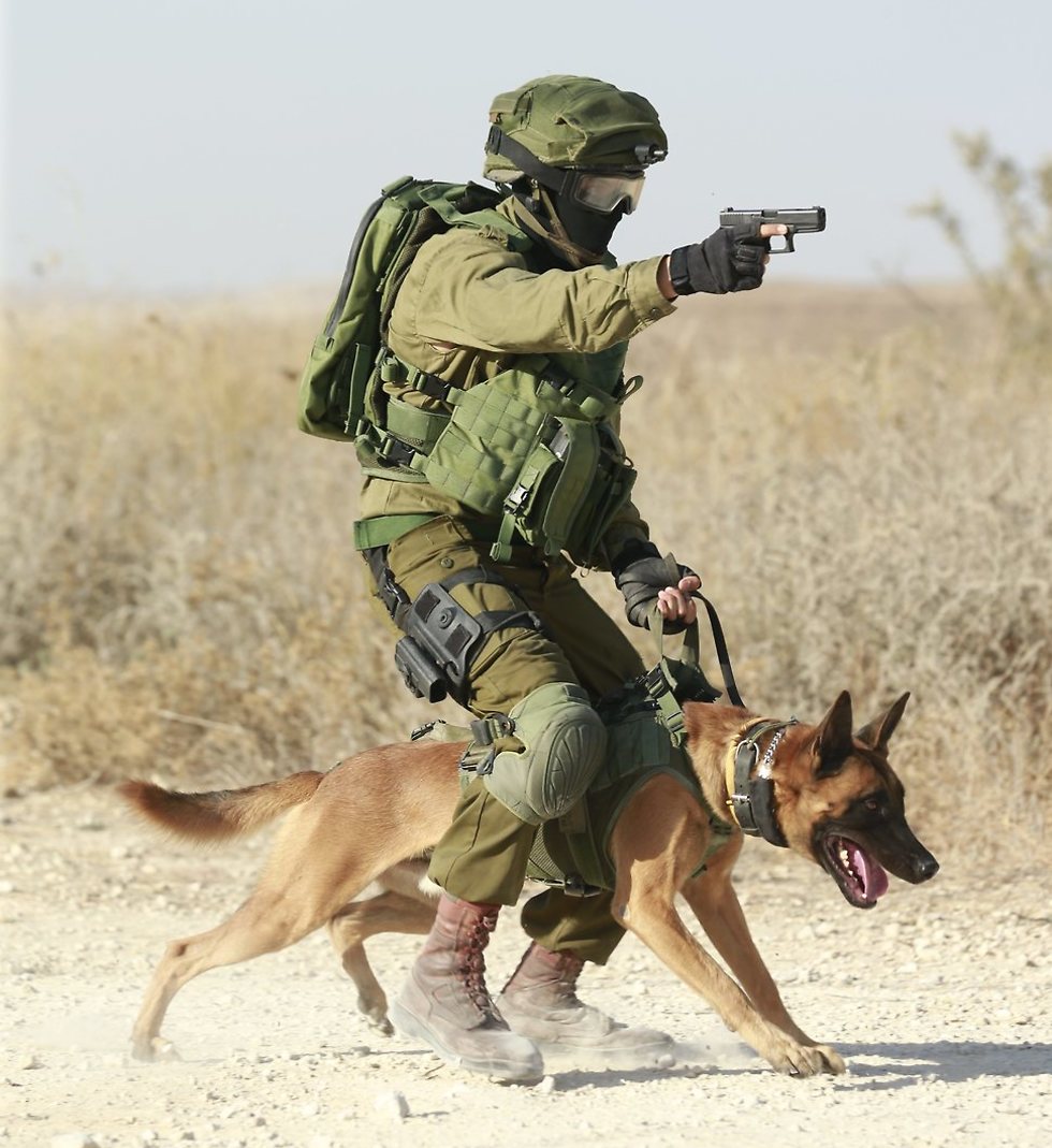 לוחם מיחידת הכלבנים מכוון אקדח ונמצא בפעולה עם הכלב שלו (צילום: גדי קבלו)