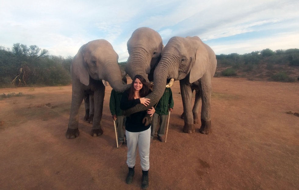עם פילים בדרך הגנים בדרום אפריקה. "טיילתי לבד ולא הרגשתי בודדה אפילו לרגע" (צילום: אלבום פרטי)