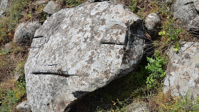 הסלע דמוי הפרצוף האנושי – מכסה דולמן מקריית שמונה (צילום: פרופ' גונן שרון, המכללה האקדמית תל-חי)