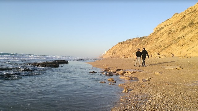 חוף באזור נתניה (צילום: משה פרלמוטר, החברה להגנת הטבע)
