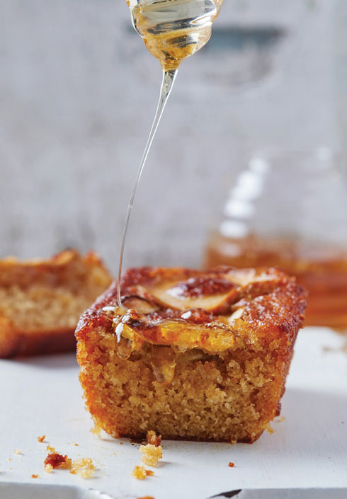 עוגת דבש בקישוט של טבעות תפוחים (צילום: שניר (סופגי) גואטה, סגנון: יעל גונן)