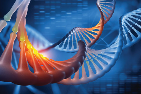 היישומים הפוטנציאליים של הקריספר כמעט בלתי מוגבלים: לרפא מחלות סרטן ומחלות גנטיות, ואולי אף למנוע אותן באמצעות עריכת הגנים עוד לפני הלידה (צילום: Shutterstock)