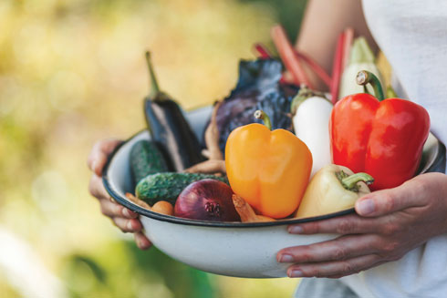 שלושה רבעים מהצלחת שלך צריכים להכיל ירקות בכמה שיותר צבעים (צילום: Shutterstock/ASAP Creative)