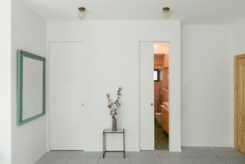 במבואת הכניסה מסוות בקיר דלתות המובילות אל חדר עבודה ואירוח, ושירותי אורחים עם מקלחת. יש ביניהם גם דלת מקשרת (צילום: גדעון לוין)