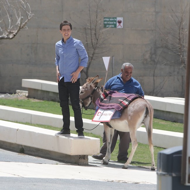 מתי הפסקת צהריים? (צילום מוטי לבטון ) מתי הפסקת צהריים? (צילום מוטי לבטון )