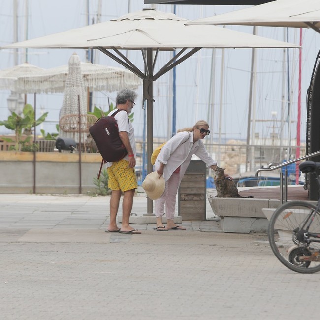 מלטפת חתול (צילום מוטי לבטון ) מלטפת חתול (צילום מוטי לבטון )