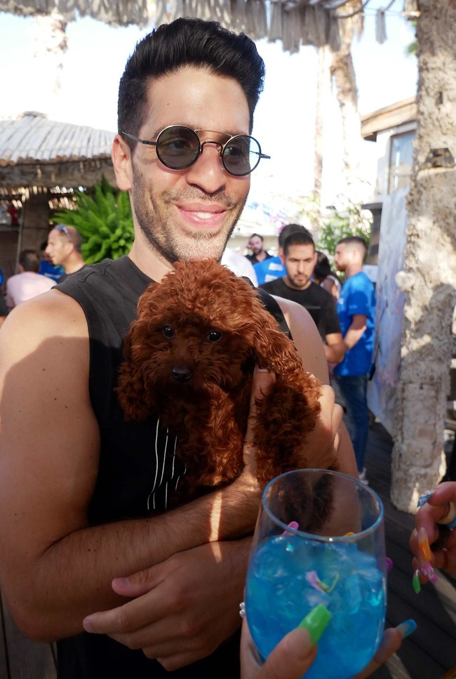 הכלבה קימבה היא ללא ספק הכוכבת של האירוע. אורי לייזרוביץ (צילום: אמיר מאירי) הכלבה קימבה היא ללא ספק הכוכבת של האירוע. אורי לייזרוביץ (צילום: אמיר מאירי)