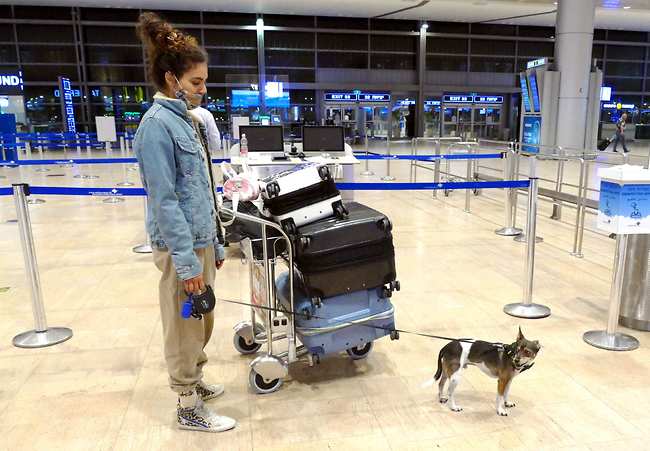 הבאת איתך מספיק תעסוקה לטיסה? מלכה והכלב בונו (צילום: אמיר מאירי) הבאת איתך מספיק תעסוקה לטיסה? מלכה והכלב בונו (צילום: אמיר מאירי)