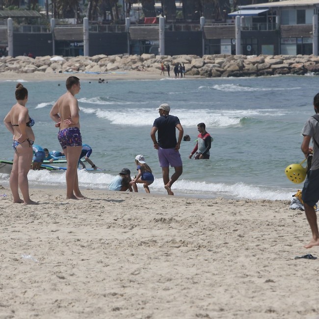 חכמים בשמש (צילום: מוטי לבטון) חכמים בשמש (צילום: מוטי לבטון)