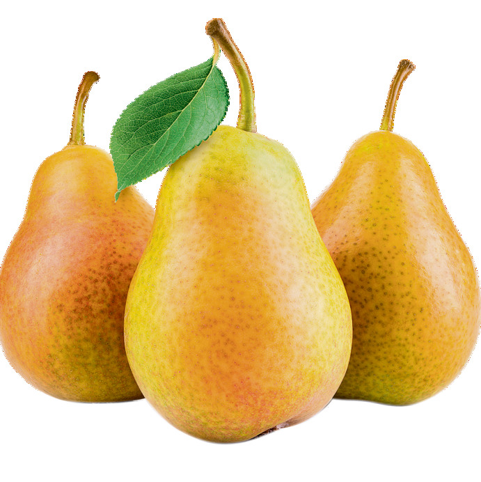 8 על: אגס