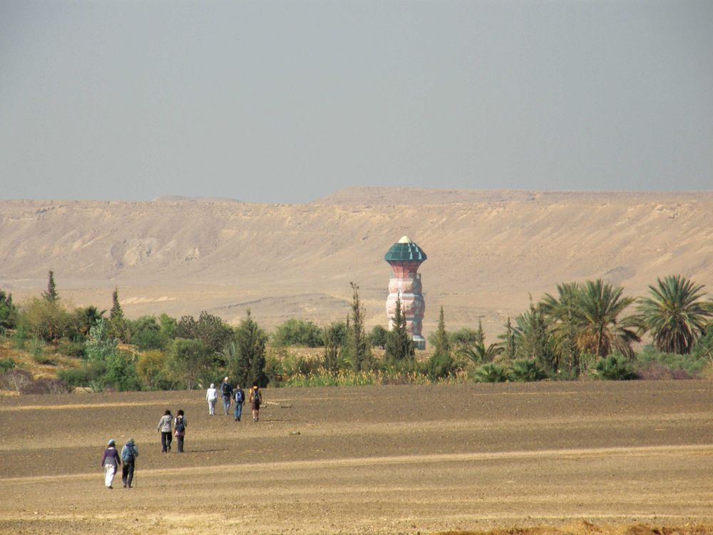 צילום: ארכיון נאות סמדר