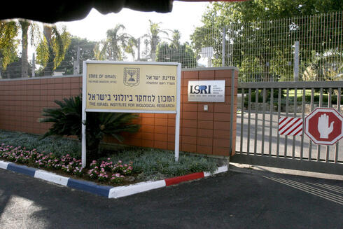 צילום: שאול גולן צילום: שאול גולן
