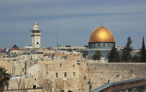 צילום: shutterstock צילום: shutterstock