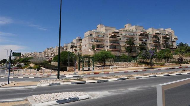צילום: הרצל יוסף צילום: הרצל יוסף