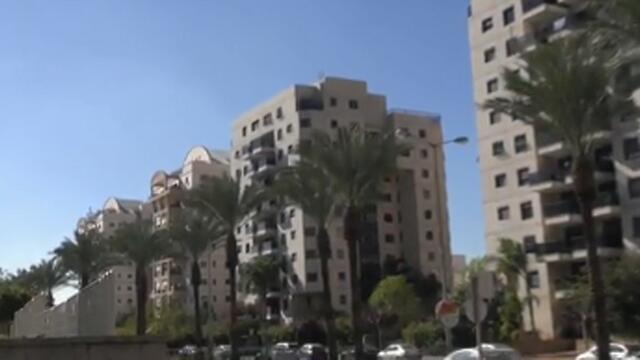 צילום: אלי סגל ניצן דרור צילום: אלי סגל ניצן דרור