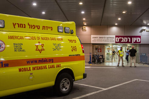 צילום: עידו ארז צילום: עידו ארז