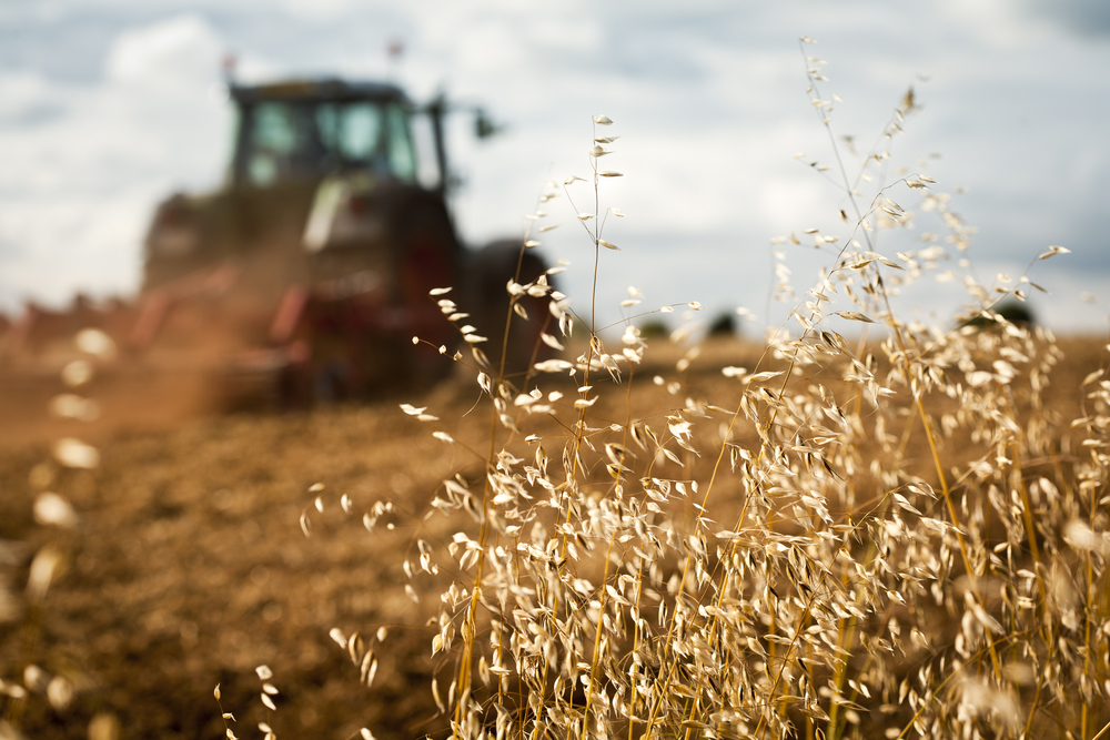 חשד לעבירות מס במגזר החקלאי. אילוסטרציה (צילום: Shutterstock)