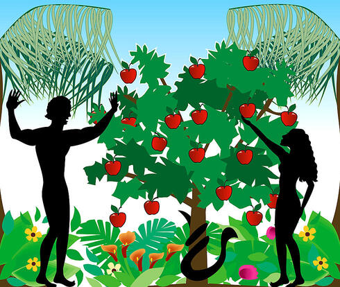 צילום: shutterstock צילום: shutterstock