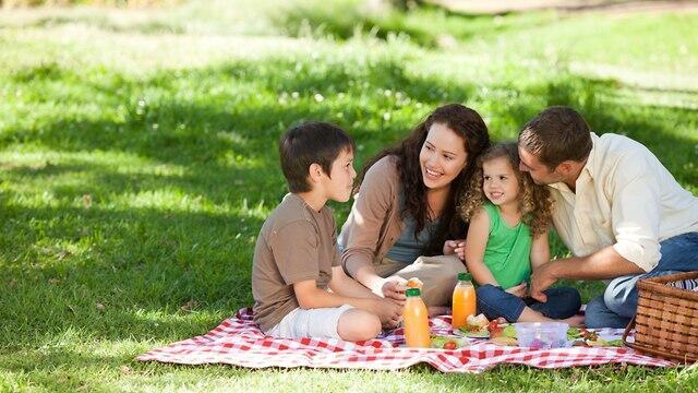 צילום: shutterstock צילום: shutterstock