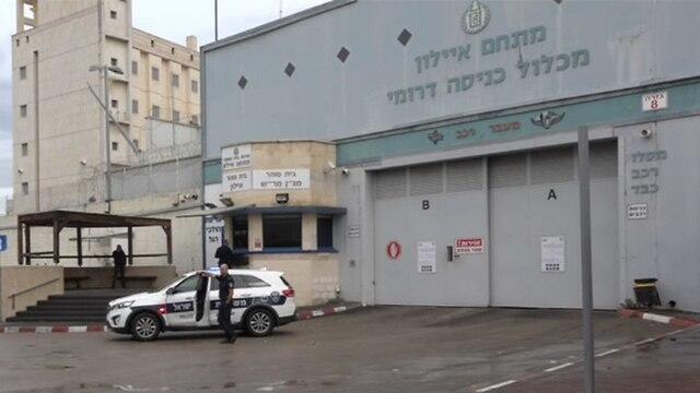 צילום: ליהיא קרופניק צילום: ליהיא קרופניק