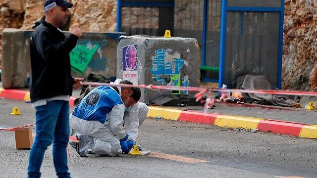 צילום: AFP צילום: AFP