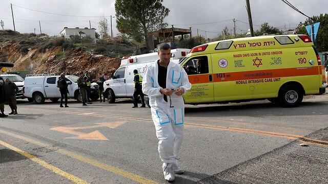 צילום: EPA צילום: EPA