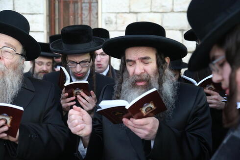 צילום: shutterstock צילום: shutterstock