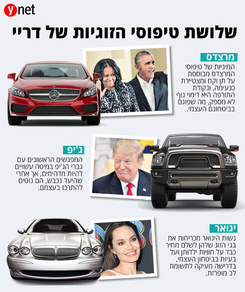 צילום: shutterstock צילום: shutterstock
