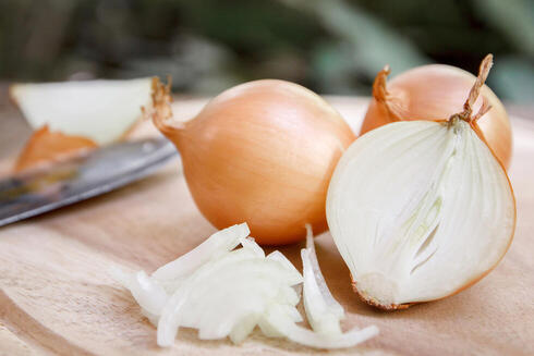 צילום: shutterstock צילום: shutterstock