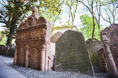 צילום: shuttertstock צילום: shuttertstock