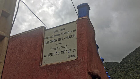 צילום: גלעד כרמלי צילום: גלעד כרמלי