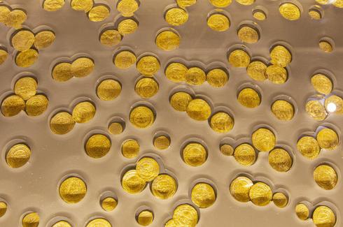 Золотые монеты, найденные при раскопках. Фото: Идо Эрез