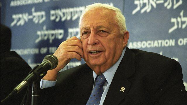 צילום: דוד רובינגר צילום: דוד רובינגר