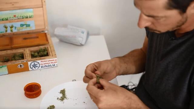 צילום: אורי דוידוביץ צילום: אורי דוידוביץ