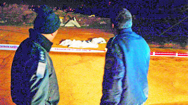 צילום: צביקה טישלר צילום: צביקה טישלר