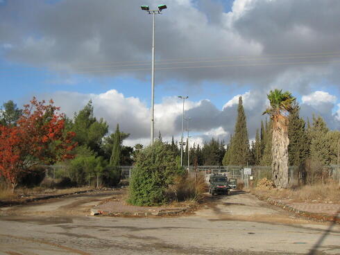 צילום: Ori~, מתוך ויקיפדיה צילום: Ori~, מתוך ויקיפדיה