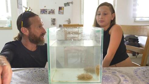 צילום: ירון שרון צילום: ירון שרון