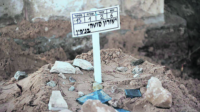 צילום: מוטי קמחי צילום: מוטי קמחי