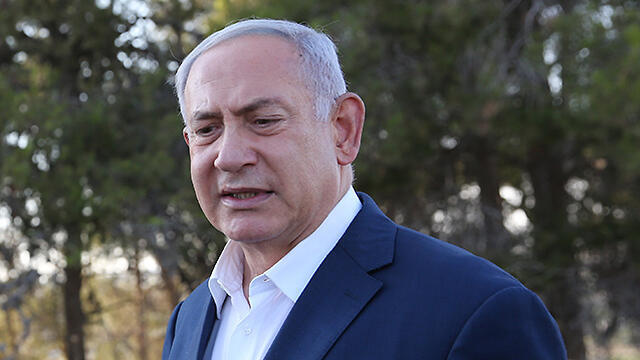 צילום: אלכס קולומויסקי צילום: אלכס קולומויסקי