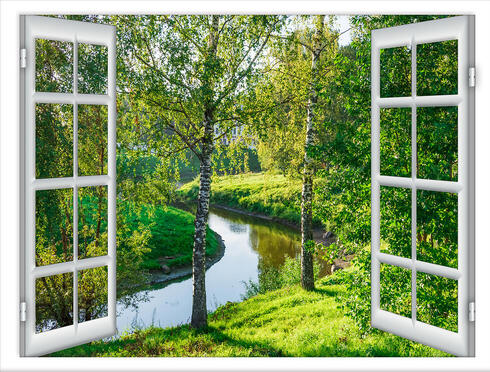 צילום: shutterstock צילום: shutterstock