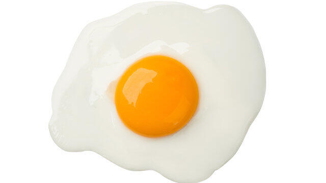צילום: Shutterstock צילום: Shutterstock