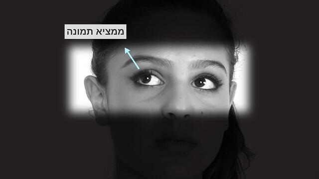 צילום: יונתן מור צילום: יונתן מור
