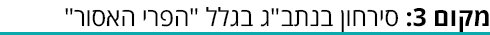ביניים ביניים