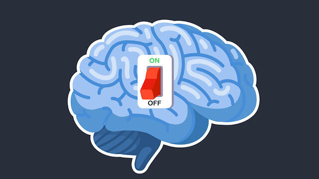 צילום: Shutterstock צילום: Shutterstock