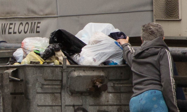 An elderly person rummaging through trash  (Photo: Yedioth Ahronoth)