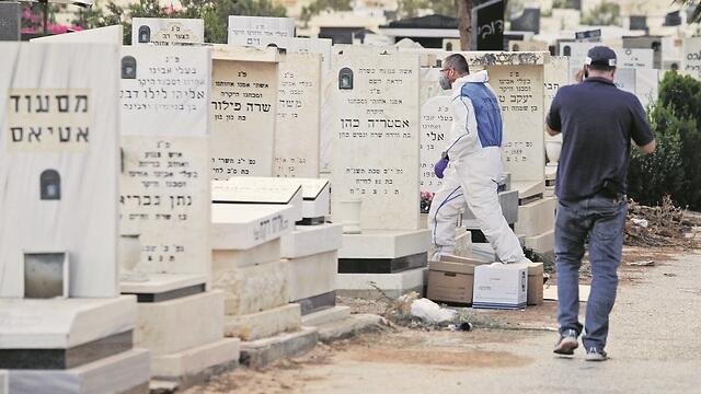 צילום: עמית שעל צילום: עמית שעל