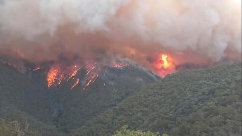 Australian bushfires  (Photo: AP)